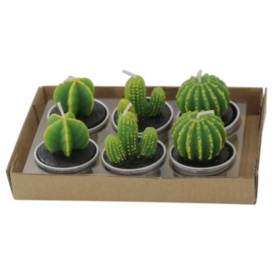 Pots de fleurs en céramique en forme de cactus OEM, pots pour plantes succulentes, jardinières, fournisseurs, usine | Yuanwang