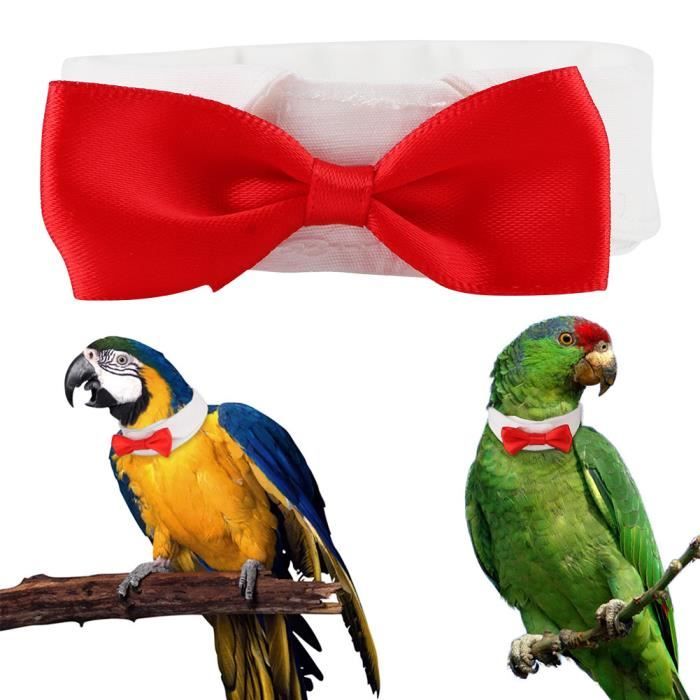 Collier de perroquet mignon collier d'oiseau noeud papillon fournitures de perroquet pour oiseaux(XL)