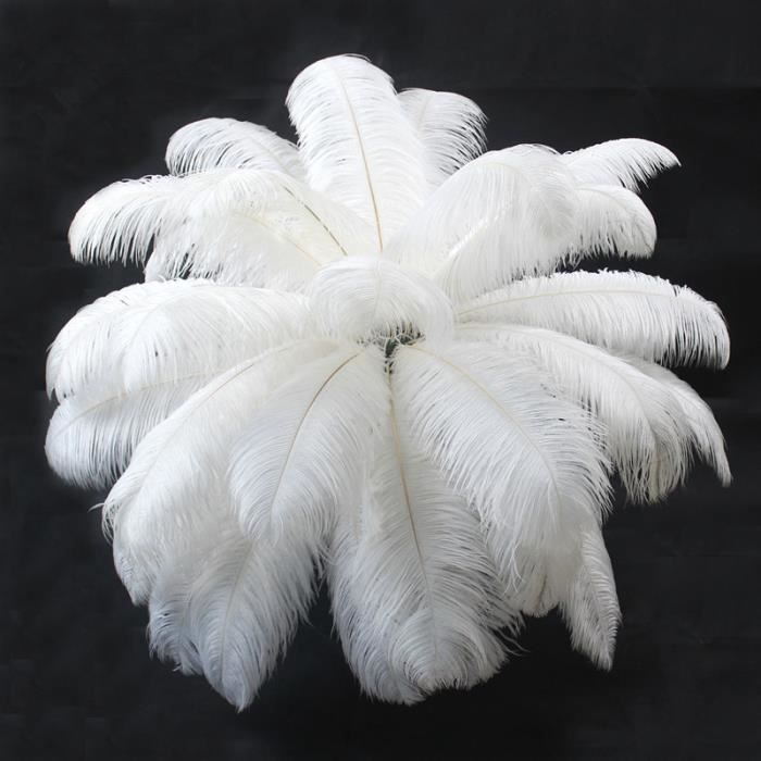 Super! Livraison gratuite fabricants vendant 10 pièces plumes d'autruche blanche 20 22 pouces-50 55 cm - Type WHITE