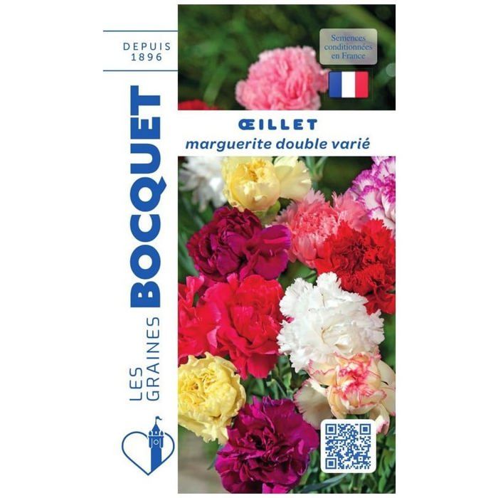 Graine - Semence - Oeillet marguerite Double varié
