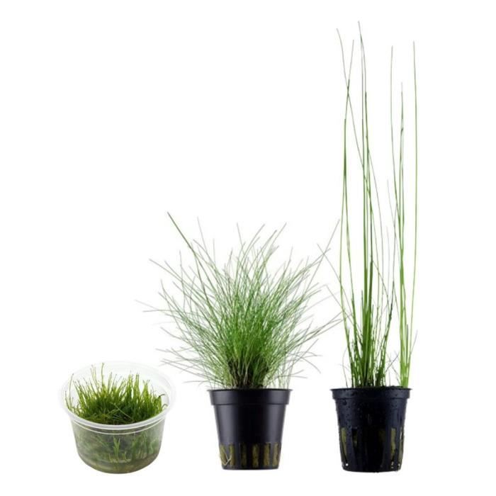 Meilleurs prix pour AquaOne Plantes daquarium - Set de pots de plantes No.130