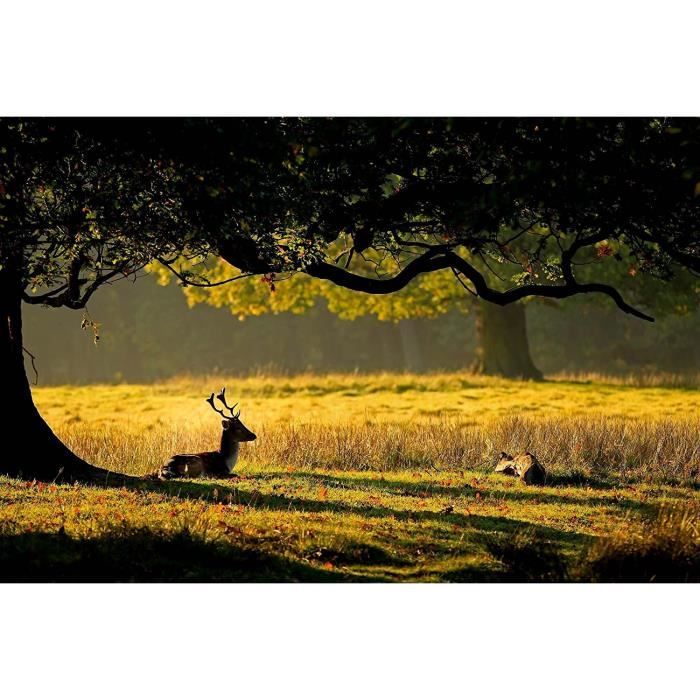 CYKEJISD Puzzle Adulte 1500 Pièces Vue Sur Paris Convient Aux Adolescents Et Aux Adultes Puzzle En Bois Décorations Et Cadeaux Uniques Pour La Maison 87x57cm