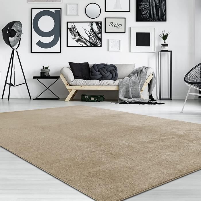 Tapis de salon pile courte moderne couleur unique moucheté Turquoise