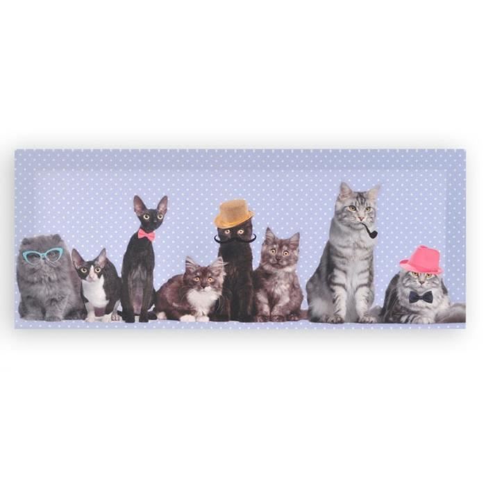 Cadre Toile Chat Humour 50 X Cm Cdiscount Maison