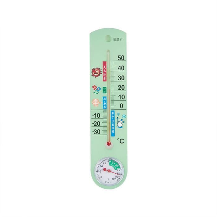 Vert - Thermomètre et hygromètre à mercure d'intérieur et d