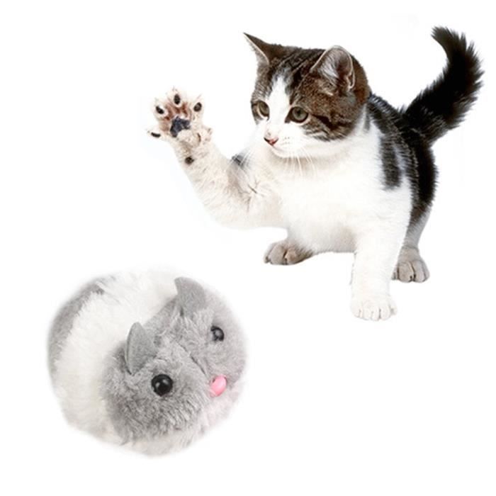 Clockwork Mouse Pour Chats A Remonter En Peluche Souris Cat Attraper D Entrainement Chaton Jouer Et Chase Jouet Gris Cdiscount