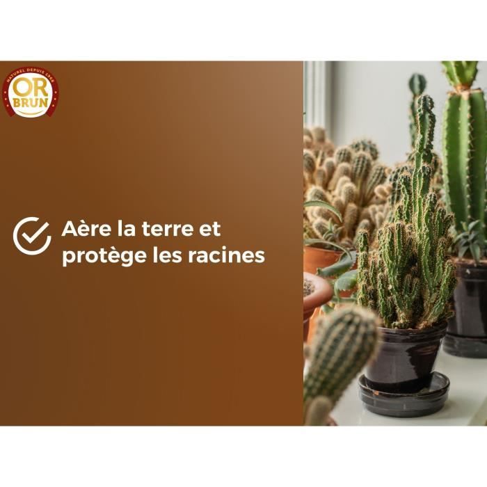 Substrat cactus & Plantes grasses - OR BRUN - OBRTCAC6U - 6L - Favorise la  croissance - Cdiscount Jardin