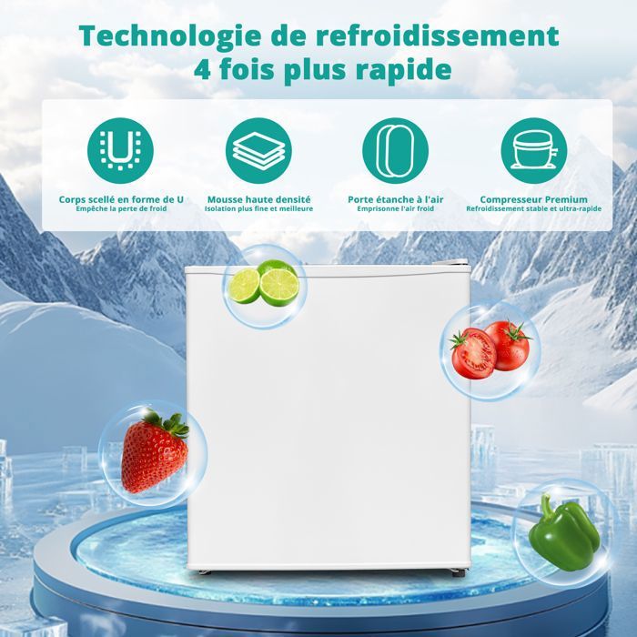 Mini Réfrigérateur 48L à Compresseur - Porte Réversible, Réglage Température 0-10°C - Pour Chambre, Bureau, Appartement - Blanc
