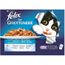 Nourriture Pour Chats Felix Purine Les Gourmandises Carton Pellicule Texte Humide Chat Avec Saumon Et Thon 40 Pochette Cdiscount