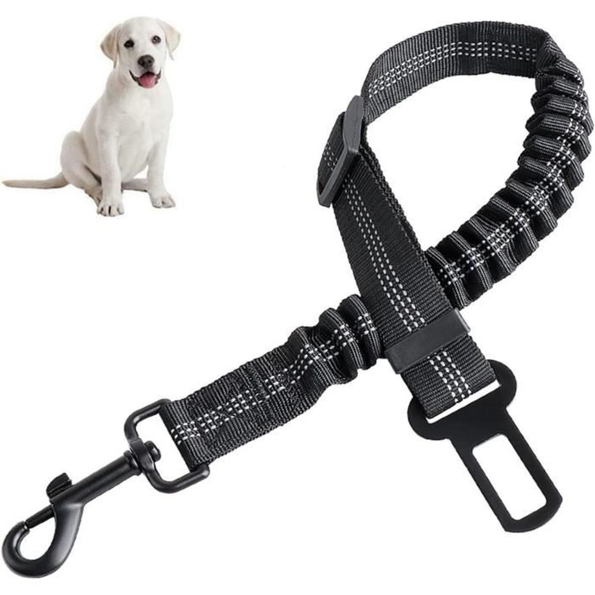 Collare Antiparassitario Per Cani - Doppia Protezione 8 Mesi Contro Pulci E Zecche