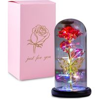 JANZDIYS - Eternelle Rose Sous Cloche Rose-22*11.5cm-Couvre Verre Rose Papillon-Rouge