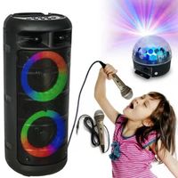 Enceinte Enfant Lumineuse sur batterie Karaoke PARTY ALFA-2600 USB Bluetooth - Jeu de Lumière Astro - Cadeau - Fête - Boum