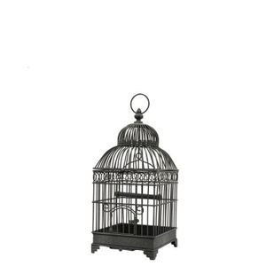 Cage Oiseau Deco