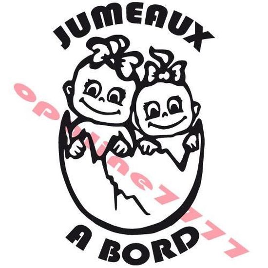 Sticker Bebes A Bord Jumeaux Jumelles Tuning Auto Cdiscount Maison