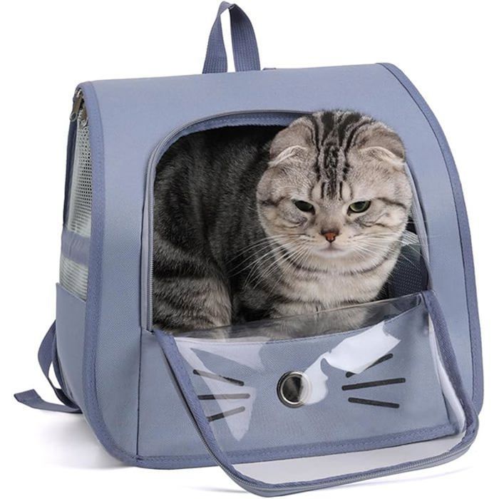 Breathable Mesh Pet Carrier Bag for Small Cats/Dogs - Blue