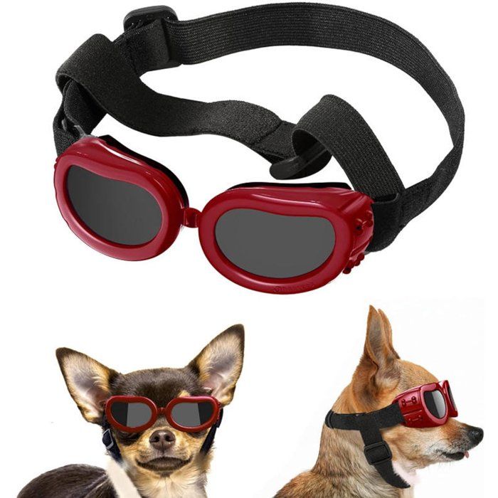 Lunettes de soleil pour petit chien et chat UV400 sangle réglable monture légère rouge