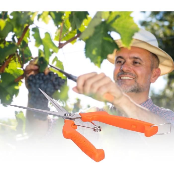 POXIAOER Lot De 2 Sécateurs De Jardin Acier Inoxydable - Cisailles De Précision Pour Branches, Fleurs, Fruits, Arbustes, Avec Verrou Sécurité Et Ressort