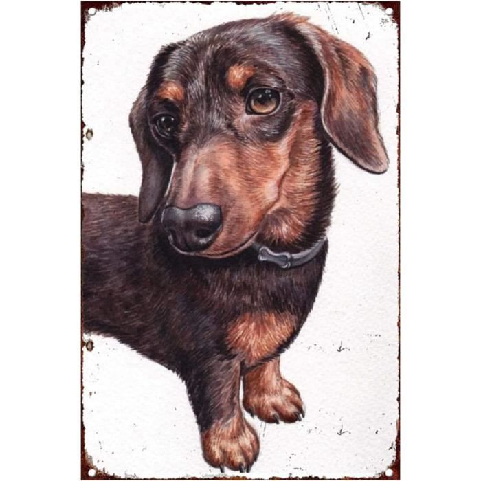 Brucialegna Camino | 5 Barre Regolabili | Nero Argento | Portatile | Per Piccoli Camini - Foto 3