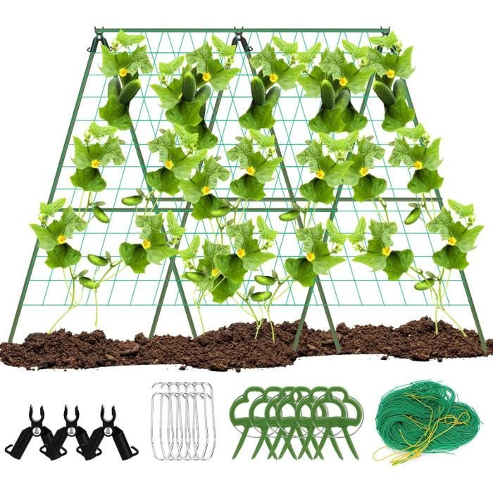 Arche Métal Jardin Mariage 2m - Arcade Rosier 1,8m Ou 2,2m Large - Déco Mariage, Plantes Grimpantes Arche De Jardin Métal