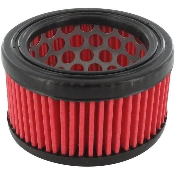 Filtre à air ECHO 130310-38331