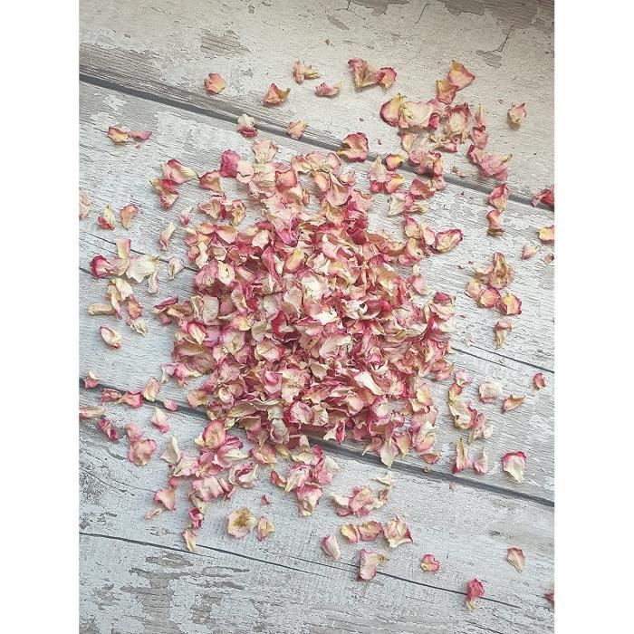 Rose Rouge Blanc Mini Rose Mariage Confettis-Belle vraie pétales biodégradables