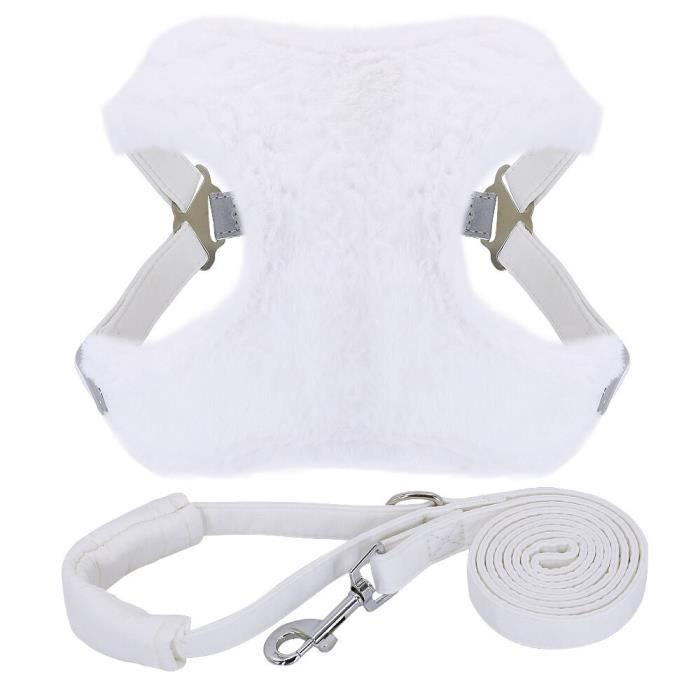 Harnais Et Laisse Pour Bouledogue Français – Accessoire Chien, Neuf