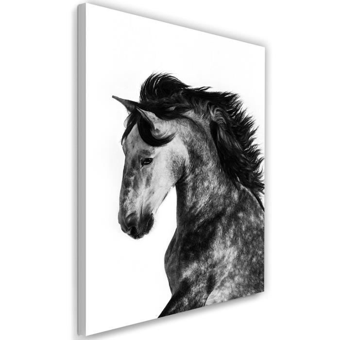 Cadre Tableau Decoratif Sur Toile Image Canevas Cheval Sauvage Dessin Noir Et Blanc 60x90 Cdiscount Maison Cadre Tableau Decoratif Sur Toile Image Canevas Cheval Sauvage Dessin Noir Et Blanc 60x90 Cdiscount Maison