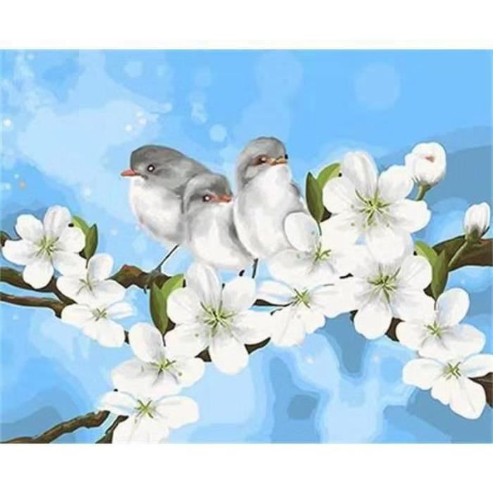 Miquans Kit Peinture Par Numéros Oiseau 40x40 Cm - Peinture Acrylique DIY Pour Adultes Et Enfants Débutants