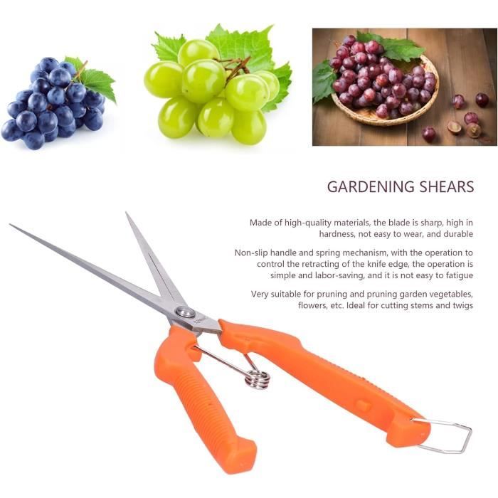 Lot De 3 Sécateurs De Jardin Professionnels – Acier Inoxydable, Coupe Nette, Poignées Ergonomiques Orange - 6