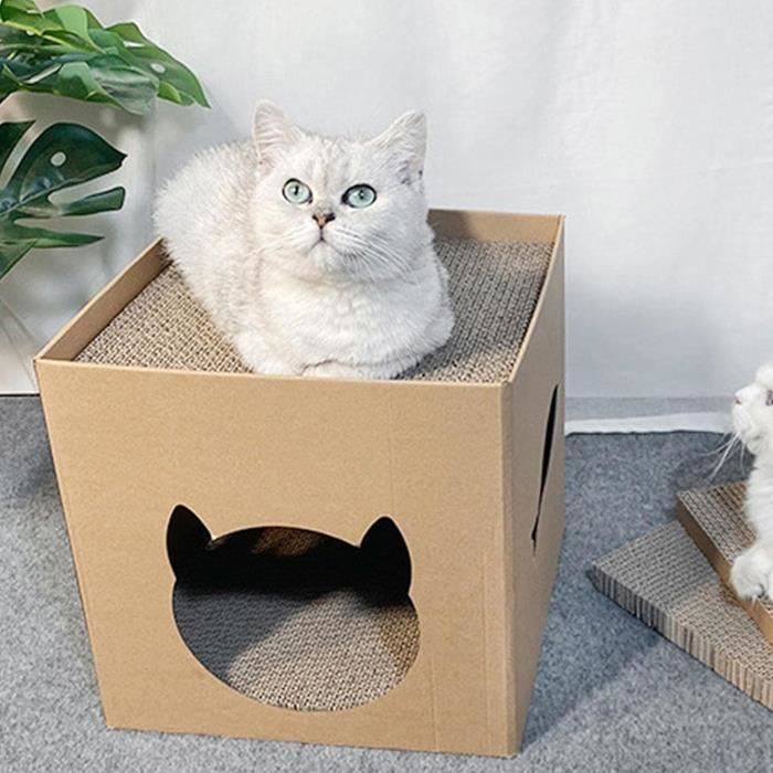 Nobleza Cat paquet cadeau M - jouets pour chats - boîte cadeau pour chat -  boîte pour