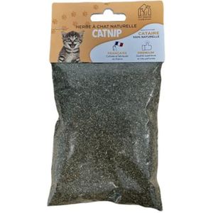 Herbe à chat tendre 100 gr graine à faire pousser animallparadise