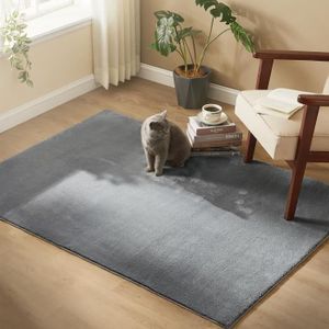 TAPIS Tapis Décoratif, 120 x 170 cm, Antidérapant, pour 