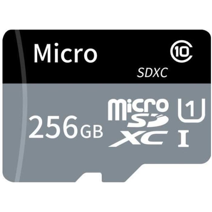 DN08581-Carte TF carte Micro SD grande capacité 256 Go U1 classe 10 carte mémoire TF carte mémoire haute vitesse pour téléphone po