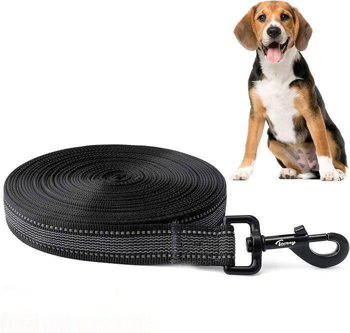 Laisse pour chien laisse pour chien 10 m longue laisse en caoutchouc antidérapante et robuste