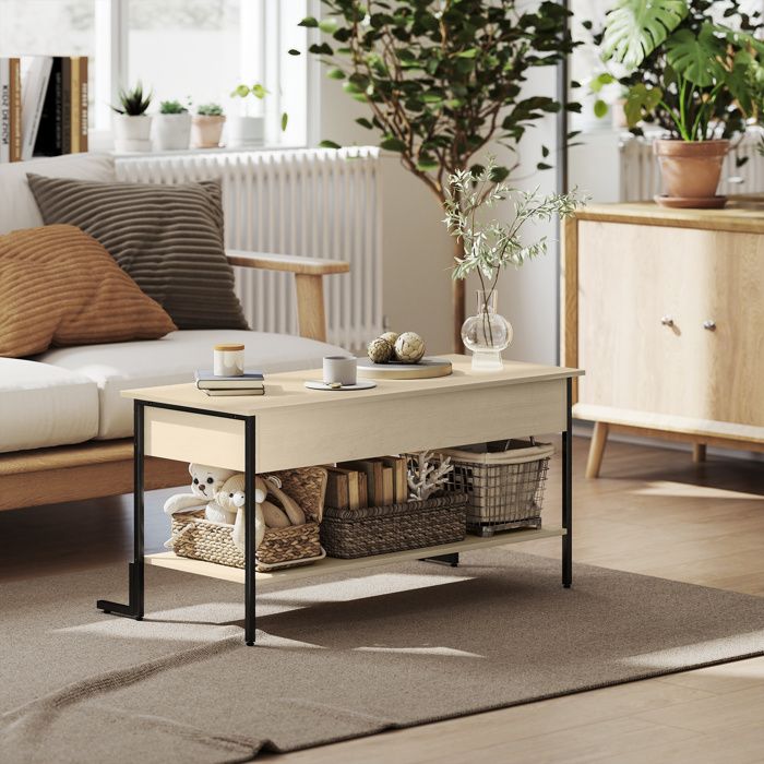 MOTHINESSTO4399-Table basse avec plateau relevable table de salon avec compartiment caché et étagère ouverte 95x40x59cm bois natu