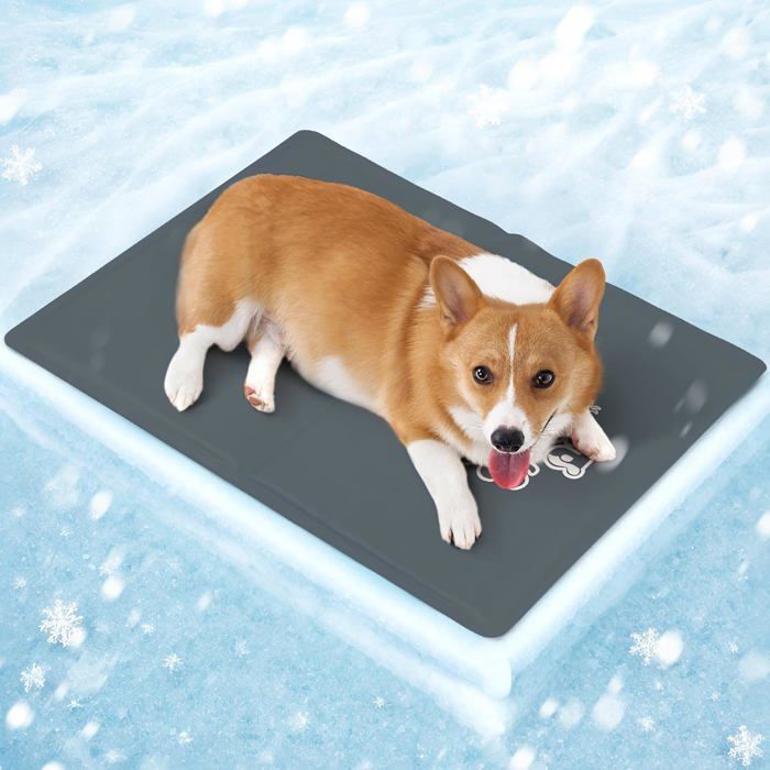 Tapis Rafraichissant Chien et Chats Tapis Refrigerant Gel Non Toxique Matelas Refroidissement Chien Coussin Froid ChatGris M 65x50cm