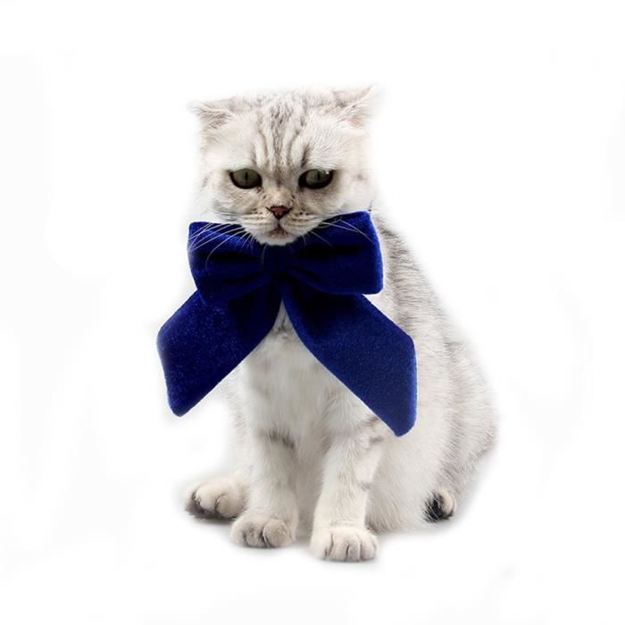 Chat Chien Noeud Papillon Retro Noeud Papillon Big Bow Pet Decoration De Noel Collier Noeud Papillon Bul Cdiscount