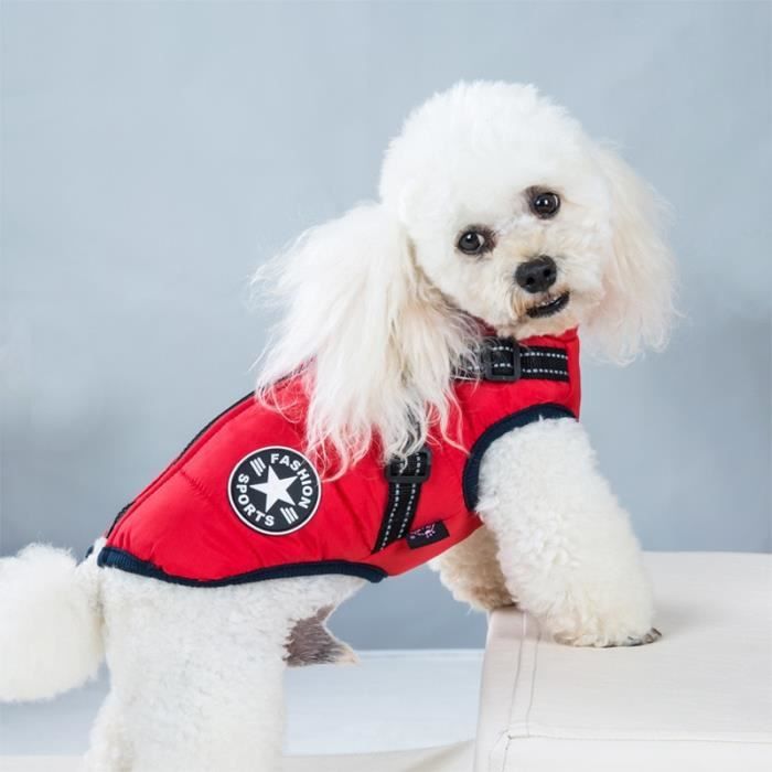 Manteau chien avec harnais deals