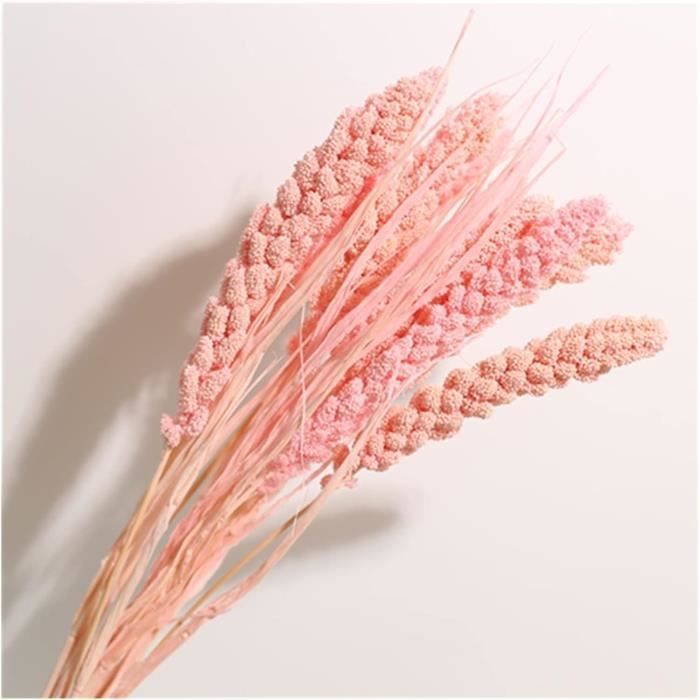 8 Fleurs Ruscus Séchées Blanches (45 Cm) - Décoration Mariage, Fête, Intérieur - Fleurs Préservées Naturelles