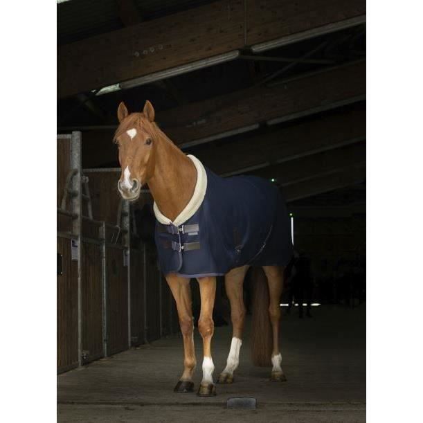 Meilleurs prix pour Chemise mesh EQUITHÈME "Teddy" équitation cheval TAILLE 6'6 150 CM