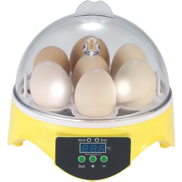 Incubateur Automatique Mini Incubateur Oeuf Poule Avec Tournage Automatique Et Contrôle De L'humidité Canards À Couver Oie Oiseaux Poulets Couveuses Œufs