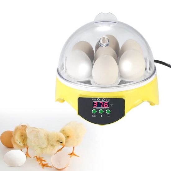 Mini Incubateur Automatique 2024 - 6 œufs - Retournement Auto - Pour Poules, Oies, Cailles
