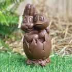 CHOCO DIC LE LAPIN COPAIN - CHOCOLAT DE PAQUES