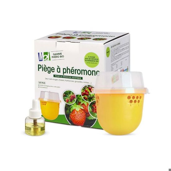 Piège à Mouches Et Moucherons Des Fruits AEROXON - Sans Insecticide, Efficace Jusqu'à 8 Semaines