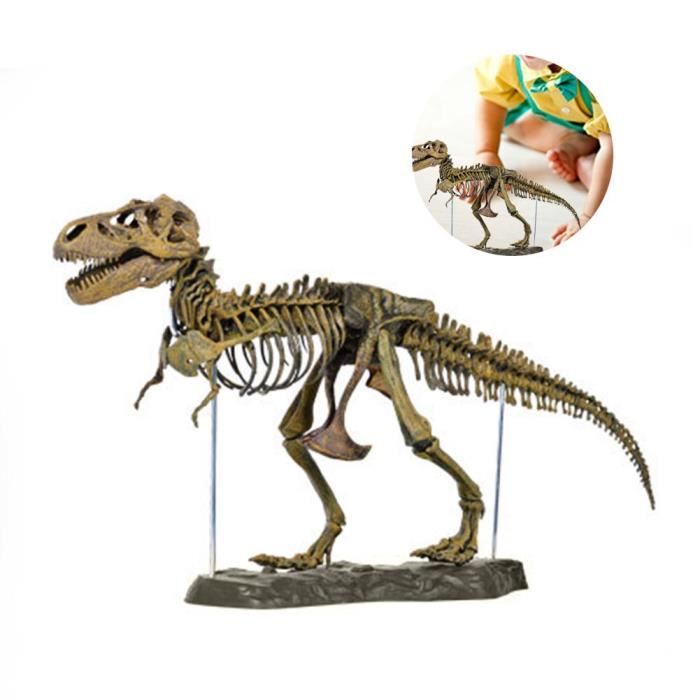 Jouet 4D Modèle Animal Réaliste Dinosaure Squelette Jouet Éducatif Collection