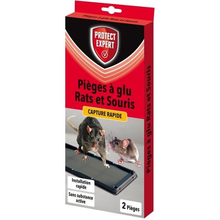 Protect Expert RASOUGLU2 Rats & Souris - 2 Pièges À Glu -Pex