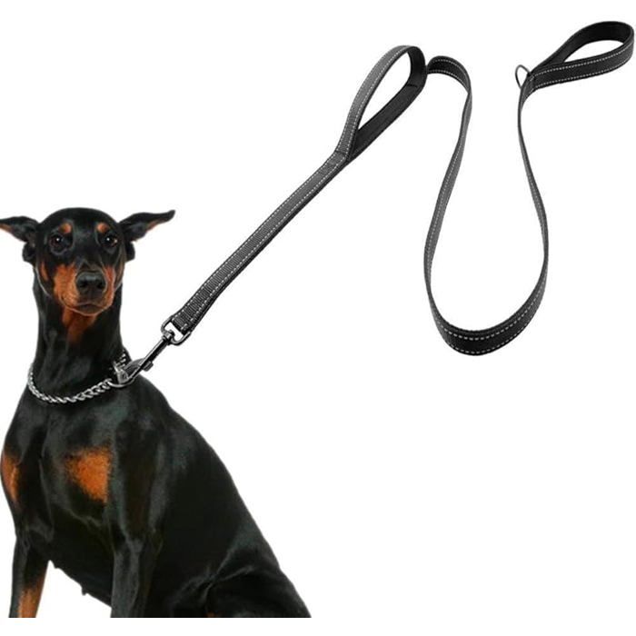 Laisse Corde pour Gros Chien avec Poignée Rembourrée Douce Fils Très Réfléchissants 15 m pour Tous Les Chiens de Taille LAISSE