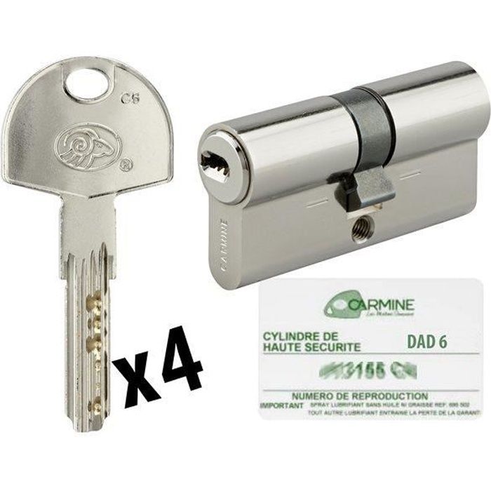 Cylindre de serrure double entrée Federal , 30x30mm, nickel, anti
