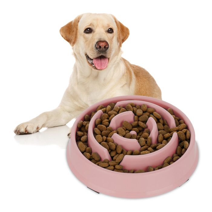 Meilleurs prix pour Relaxdays Gamelle anti-glouton, repas pour chiens, 400 ml, digestion lente, compatible avec lave-vaisselle, rose