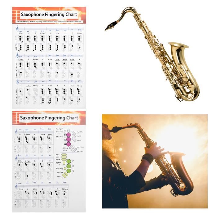 Guide du débutant de saxophone Tableau de doigté de saxophone Guide de base Tableau de comparaison instruments kit - SURENHAP